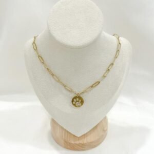 Cadena eslabon clip chain charm pata perrito